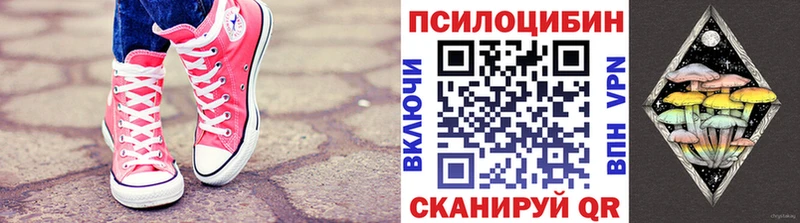 Купить где  Кочубеевское  Псилоцибиновые грибы MAGIC MUSHROOMS 